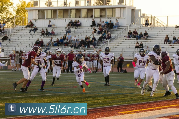 emc易倍官网登录发展历程